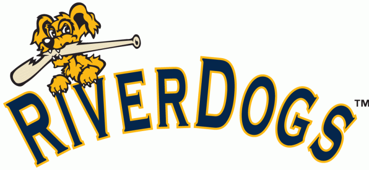 Charleston Riverdogs 2011-2015 Wordmark Logo iron on heat transfer